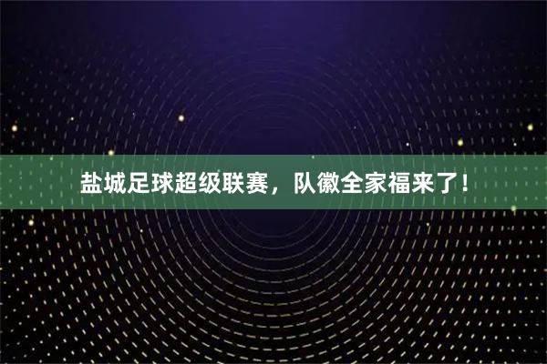 盐城足球超级联赛，队徽全家福来了！