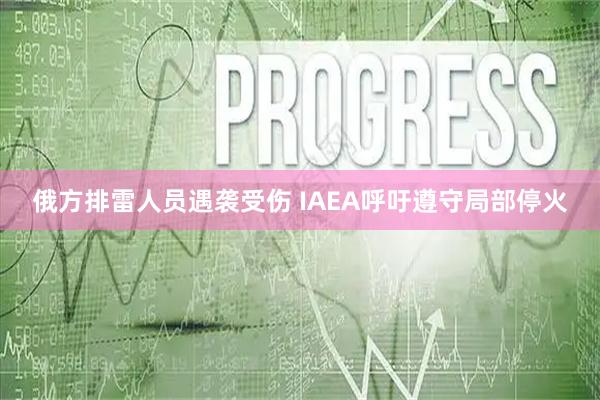 俄方排雷人员遇袭受伤 IAEA呼吁遵守局部停火